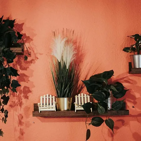 Lisboa F3 Centre-ville Clermont-fd C Lägenhet