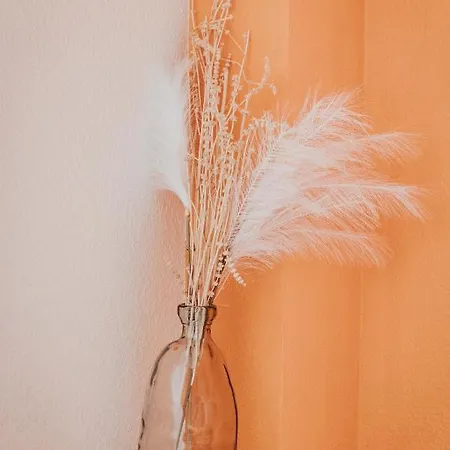 Appartement Lisboa F3 Centre-ville Clermont-fd Parking Gratuit C Clermont-Ferrand