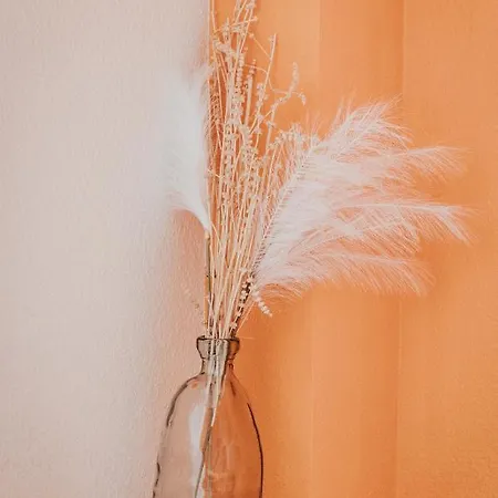 Lägenhet Lisboa F3 Centre-ville Clermont-fd C Clermont-Ferrand